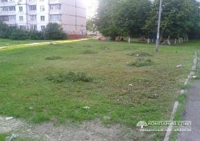 Покос травы с уборкой
