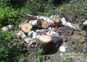 Видалення дерев на цвинтарі