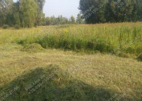 Покос трави 10га за Києвом і області/компанія Спил