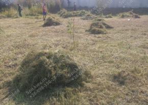 Покос травы 10 га по Киеву и области | Компания Спил