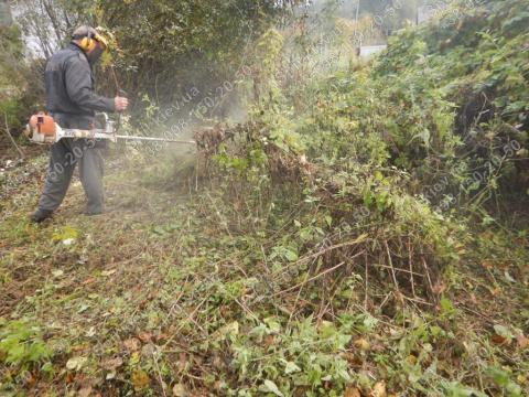 Видалення чагарників по Києву і області/Спил