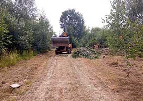 Розчистка ділянки